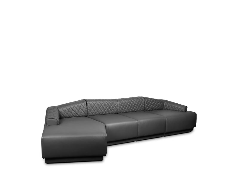 Anguis alternate view