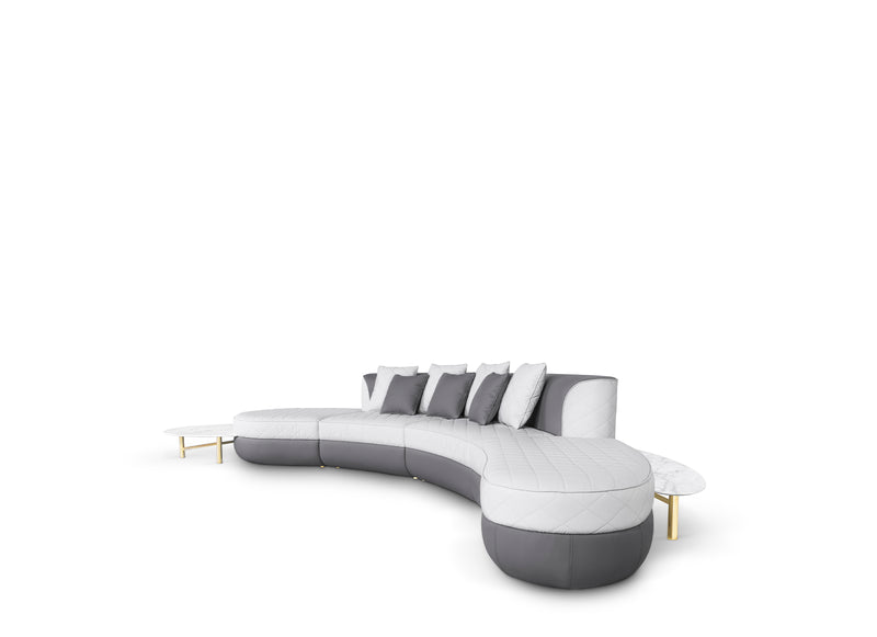 Senzu alternate view